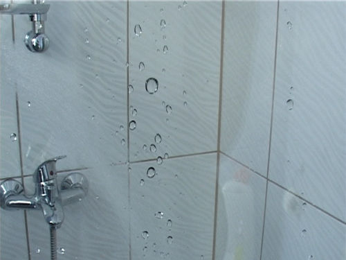 Showered protected shower stall